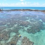 Conheça Maceió e suas atrações imperdíveis